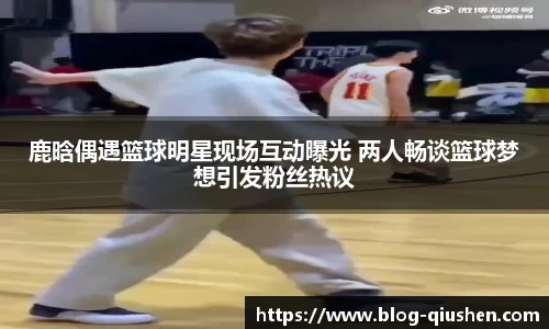 球神高清直播