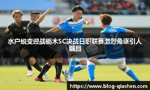 球神高清直播