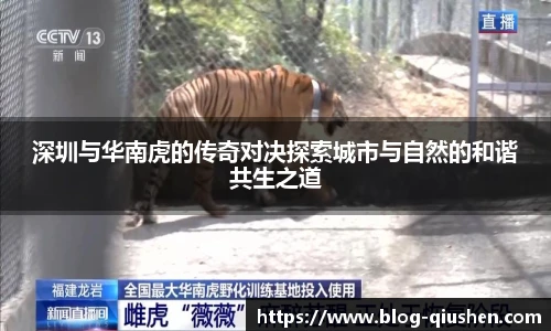 深圳与华南虎的传奇对决探索城市与自然的和谐共生之道
